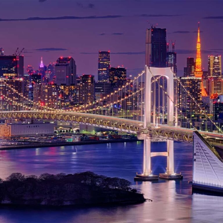 Tokyo: Odaiba Walking Tour with a Local Tour Leader - Why You Should Consider This Tour