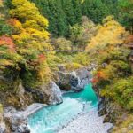 Tokyo: Okutama Day Trip with Hatonosu Gorge - Practical Details and What to Expect