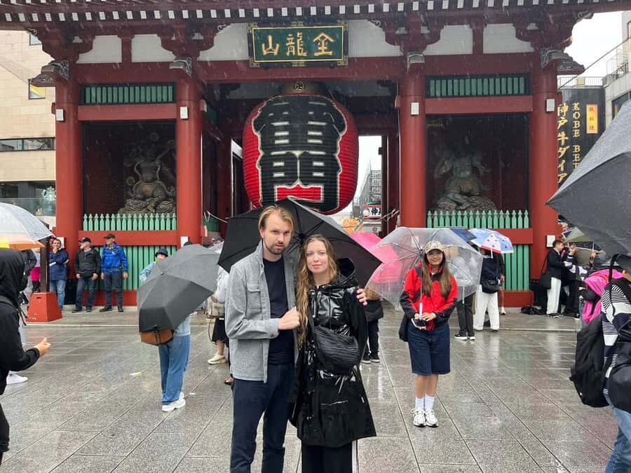 Tokyo: Private Custom Tour with Guide and Driver - What to Expect on Your Day in Tokyo