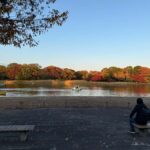 Tokyo: Private Family Park Tour with Couple Alone Time - Why This Tour Offers Great Value