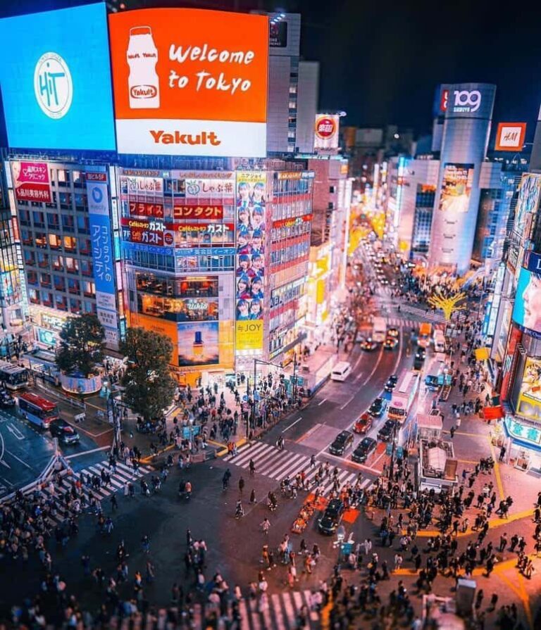 Tokyo: Private Guided Tour with Hotel Pickup and Drop-off - The Itinerary Breakdown: What You’ll See and Do