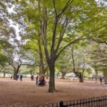 Tokyo: Private Morning Run with Sento Bath Experience - Why This Tour Works