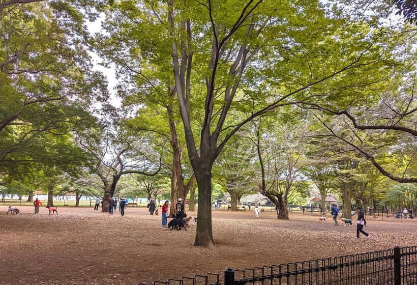 Tokyo: Private Morning Run with Sento Bath Experience - Why This Tour Works