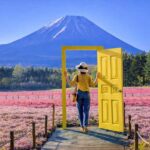 Tokyo: Private Mt. Fuji and Shibazakura Spring Tour - Why This Tour Works for Who