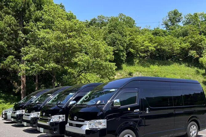 Tokyo Private Transfer Between Disneyland and Tokyo - What to Expect During the Ride