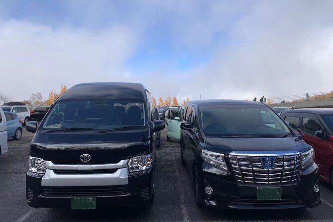 Tokyo Private Transfer From or To Haneda Airport (HND) - The Vehicle and Comfort