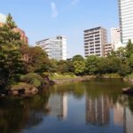Tokyo: Ryogoku Walking Tour with Sumo Museum Entry - What To Expect: A Balance of Culture and Casual Exploration