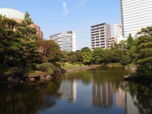 Tokyo: Ryogoku Walking Tour with Sumo Museum Entry - What To Expect: A Balance of Culture and Casual Exploration