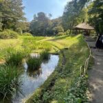 Tokyo: Shibuya, Harajuku & Meiji Shrine Walking Tour - Practical Details and Tips