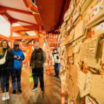 Tokyo: Shinjuku Nightlife & Secret Backstreets Walking Tour - What Makes This Tour Stand Out