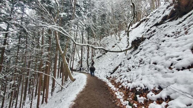 Tokyo: Snow Monkeys, Zenkoji Temple, & Obuse Day Trip - Why This Tour Offers Good Value