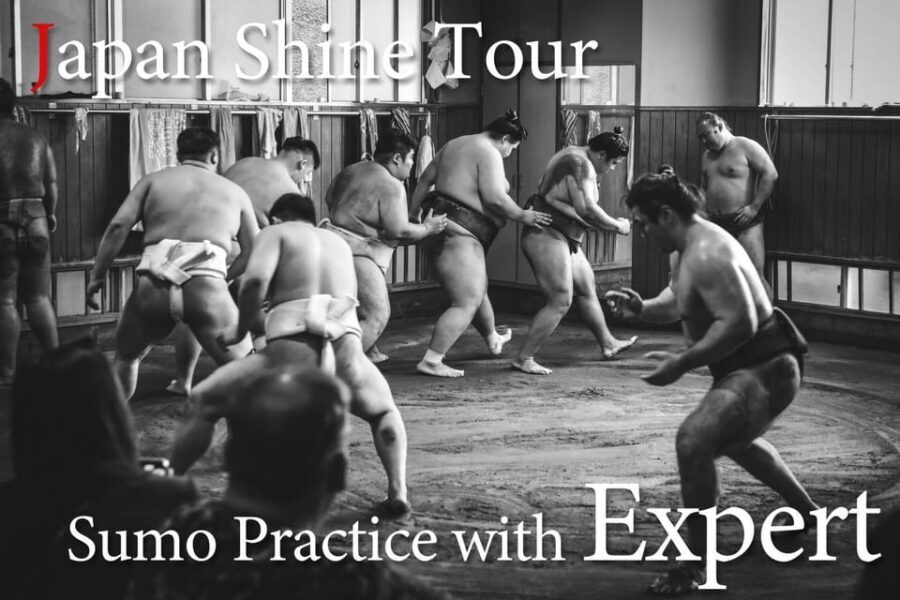 Tokyo: Sumo Morning Practice Tour with Expert Reporter - Practical Details and What to Expect