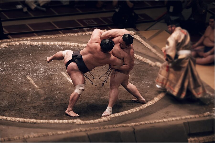 Sumo wrestler portrait