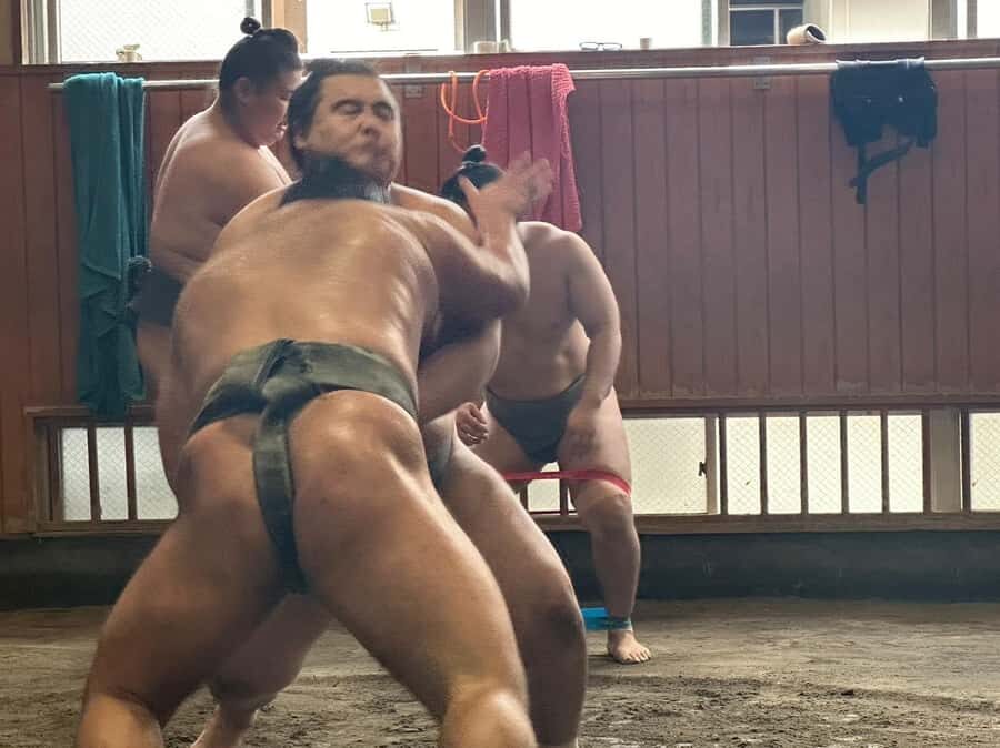Tokyo: Sumo Wrestler Morning Practice Tour & Photos - The Value and How It Compares