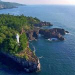 Tokyo to Izu: Kawazu Sakura Day Trip with Train & Pickup - Transportation and Group Size: Why They Matter