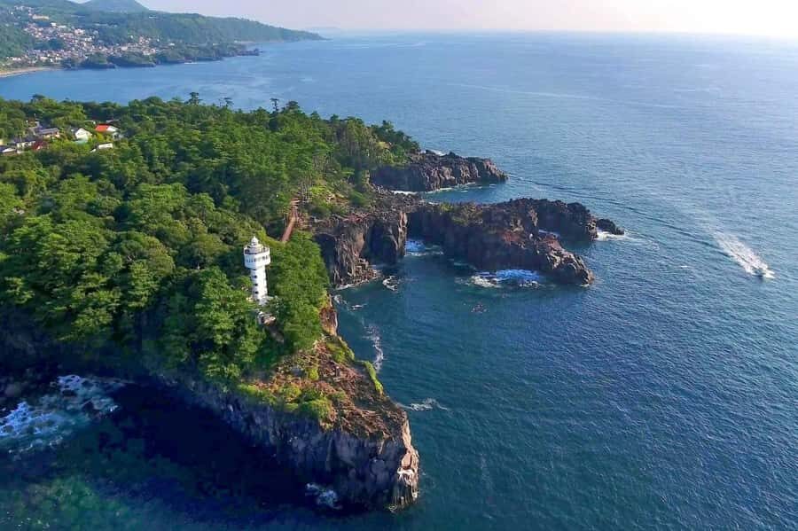 Tokyo to Izu: Kawazu Sakura Day Trip with Train & Pickup - Transportation and Group Size: Why They Matter