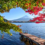Tokyo to Mount Fuji A Full Day Private Tour From Tokyo - Who Will Enjoy This Tour Most?