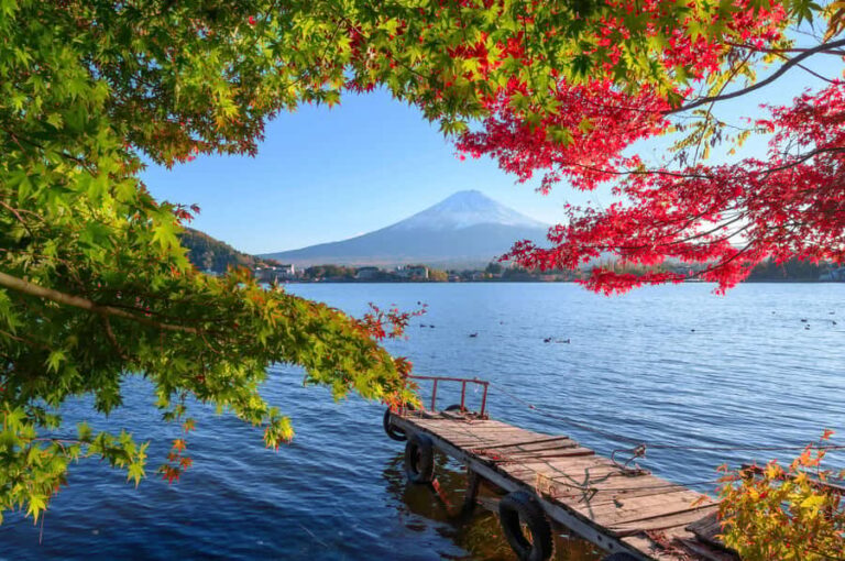 Tokyo to Mount Fuji A Full Day Private Tour From Tokyo - Who Will Enjoy This Tour Most?