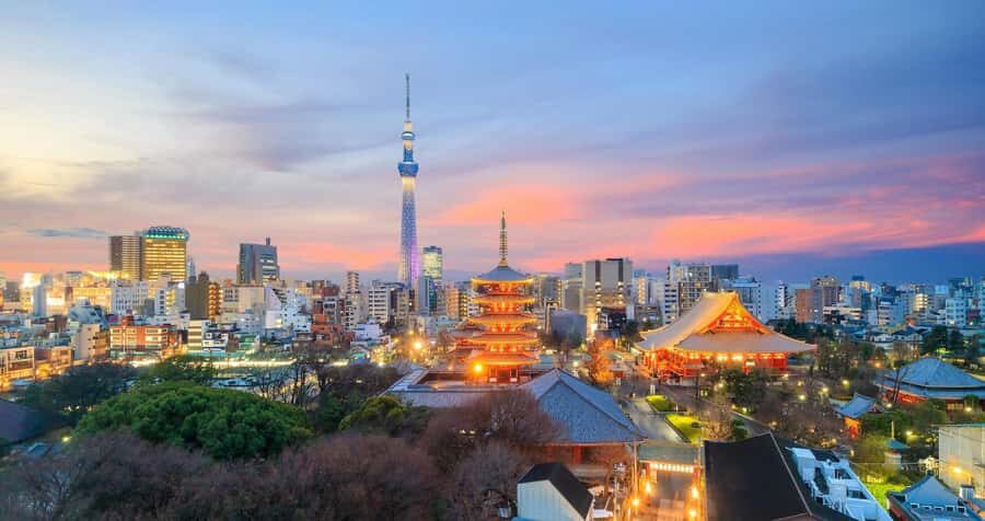 Tokyo: Tokyo Private Day Tour with English Speaking Guide - Who Will Love This Tour?