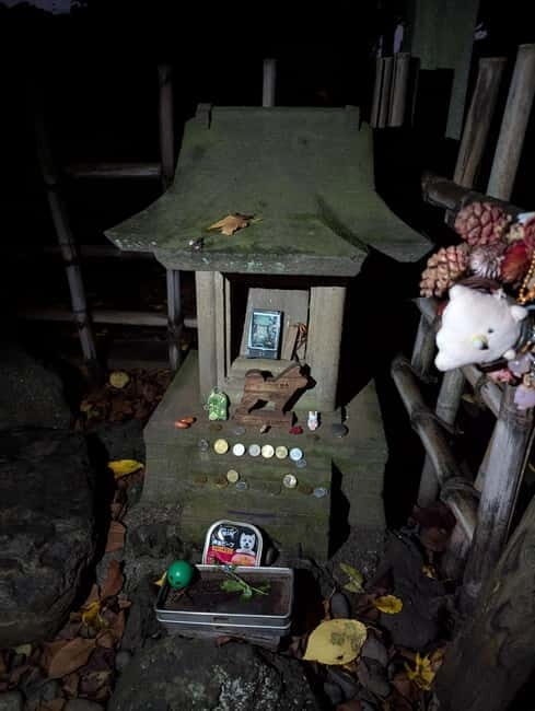 Tokyo: True Crime And Ghost Stories Tour - What Is the Tokyo True Crime And Ghost Stories Tour?