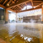 Tokyo: Ultimate Spa Japon Retreat & Kurome River Stroll - Exploring the Itinerary in Detail