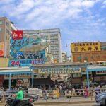 Tokyo Wheelchair-Friendly Custom Day Tour: Asakusa, Tsukiji - Who Will Love This Tour?