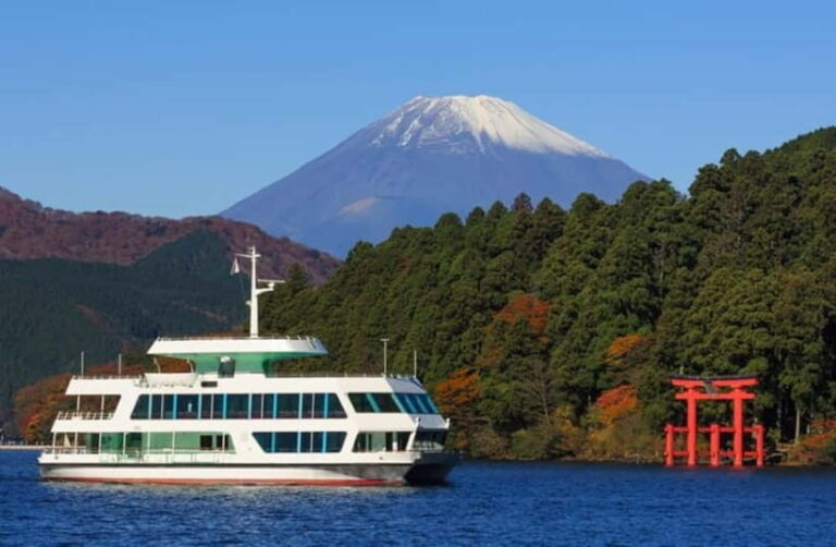 Tokyo:Hakone,Mt.Fuji,Cruise,ropeway,w/lunch,Shinkansen - Practical Considerations