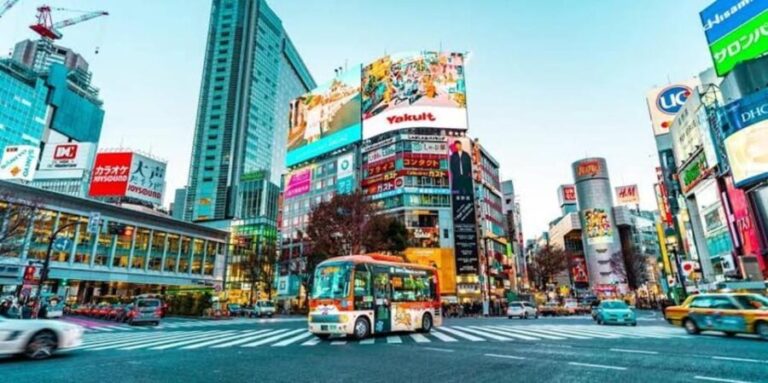 Tokyo:Luxury Private Tour with English-Speaking driver - The Itinerary Breakdown: What You’ll See and Do
