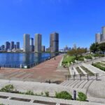 Tokyo's Hidden Gem: Modern Toyosu Market Coastal Tour - An In-Depth Look at the Toyosu Market Coastal Tour