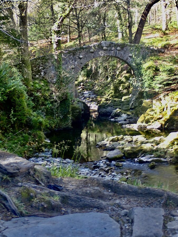 Foleys Bridge in Tollymore Forest Park where the Stark direwolves were discovered in Game of Thrones
