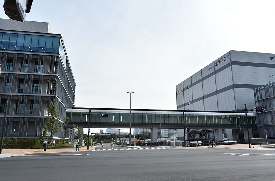 Toyosu fish market observation deck