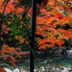 Toyota Green Life Experience Autumn Leaves, Gohei Mochi in Inabu - What Makes This Tour Valuable?