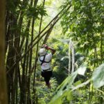 Treetop Canopy Adventure - Deep Dive into the Itinerary