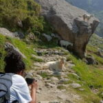 Triund Day hike | Alt 2870 Mtr - A Closer Look at the Triund Day Hike Experience