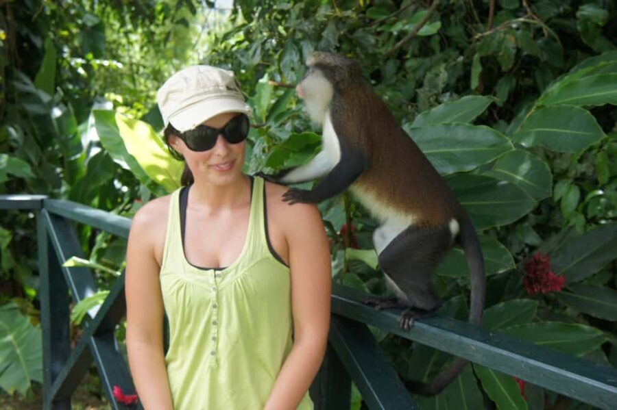 "Tropically Yours" Waterfall Nature Hike. - The Practical Side: What You Need to Know