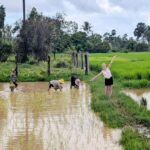 Tuktuk Tour: Visit Pepper Farm, Salt Field & Secret Lake - A Closer Look at the Itinerary and What You’ll Experience