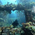Tulamben Liberty Wreck 3 dives daytrip from South Bali - Why This Tour Is Worth Considering