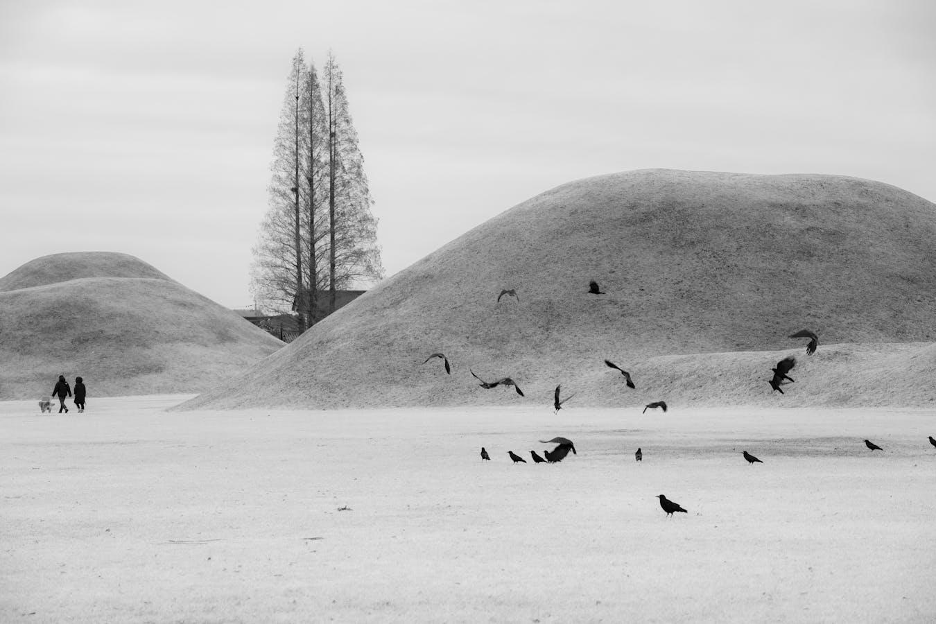 Grass-covered royal burial mounds in a Gyeongju park