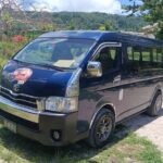 Turtle Encounter with Yumi Tours - Who is this tour best for?