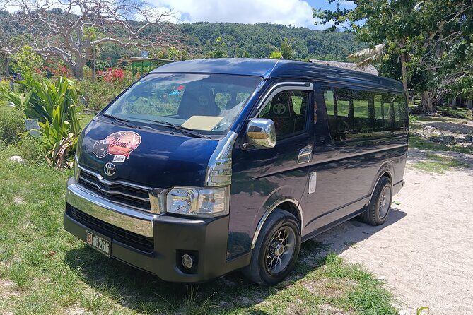 Turtle Encounter with Yumi Tours - Who is this tour best for?