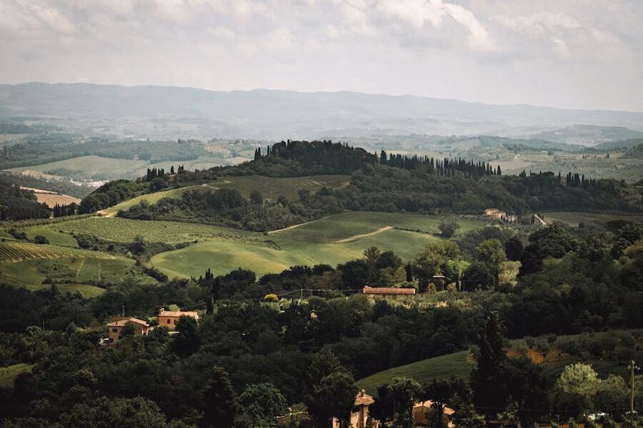 Lush rolling hills and trees in Tuscany
