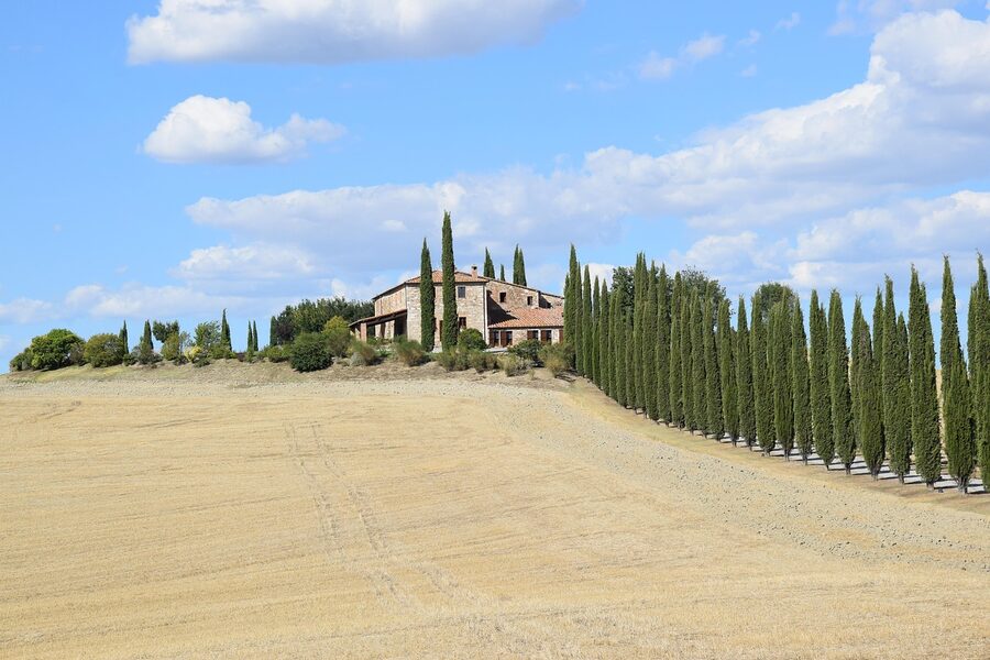Cypress tree avenue near Siena Italy