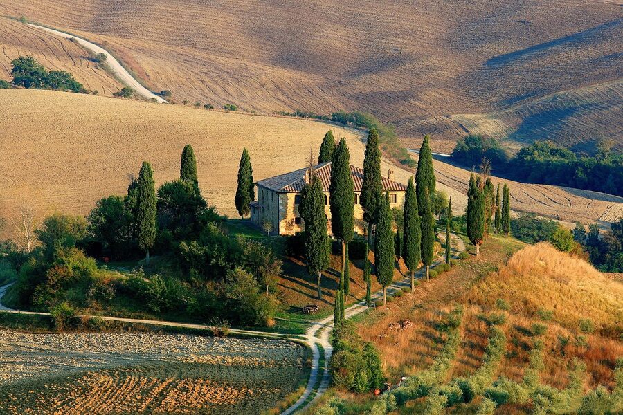 Tuscany cypress landscape in green hills