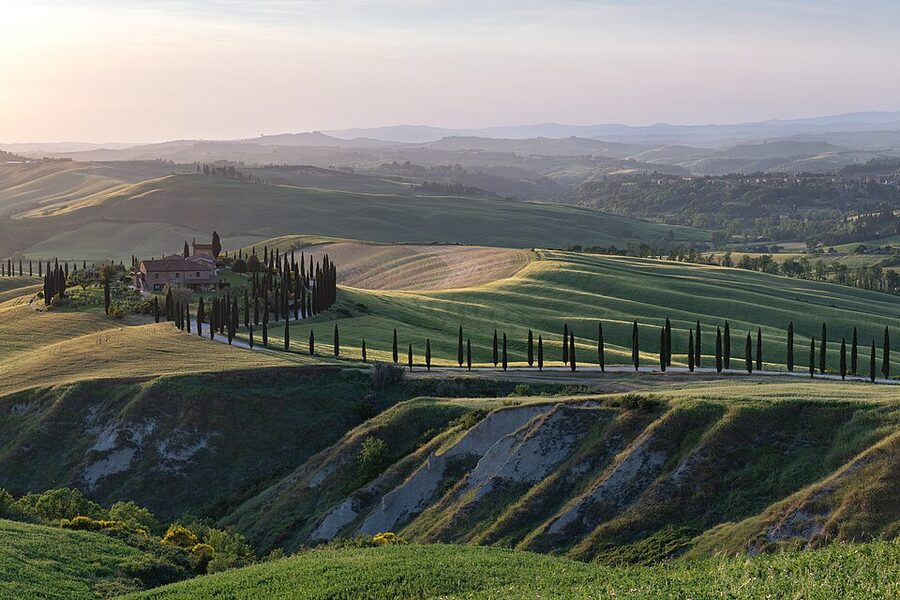 Ridge of cypress trees in Tuscany