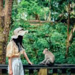 Ubud Adventure: Monkey Forest, Rice Terraces & Waterfalls - The Itinerary in Detail