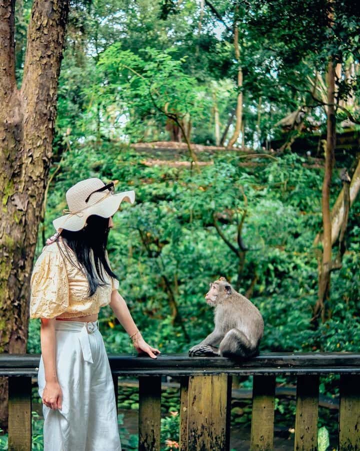 Ubud Adventure: Monkey Forest, Rice Terraces & Waterfalls - The Itinerary in Detail