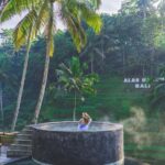 Ubud: Alas Harum, Temple, and Waterfall - Private Tour - Why This Tour Offers Great Value
