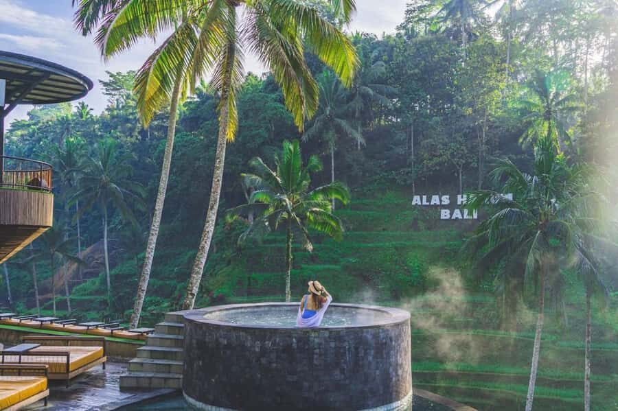 Ubud: Alas Harum, Temple, and Waterfall - Private Tour - Why This Tour Offers Great Value