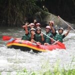 Ubud: Ayung River Guided Rafting Adventure with Lunch - Who Will Love This Tour?