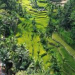 Ubud: Customised private day trip with personal driver - A Detailed Breakdown of the Itinerary and Highlights